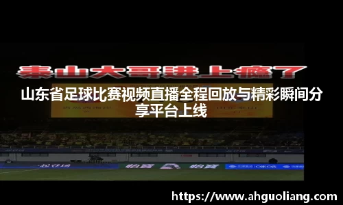 山东省足球比赛视频直播全程回放与精彩瞬间分享平台上线